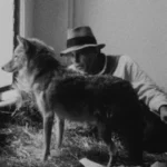 Joseph Beuys, I Like America and America Likes Me – 1974