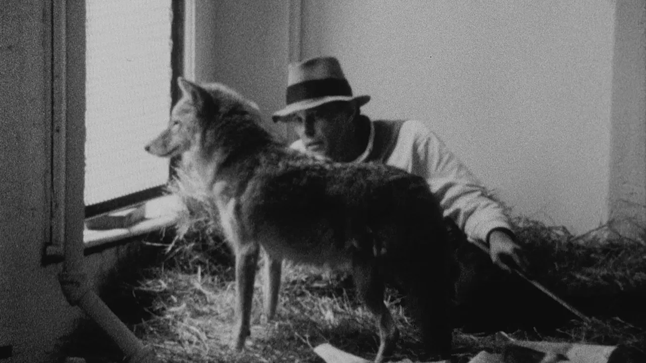 Joseph Beuys