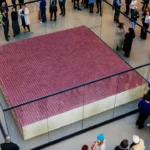 Alfredo Jaar, One Million German Passports – 2023