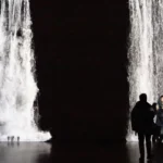 Walid Raad, Comrade leader, comrade leader, how nice to see you (XVI, XIX)