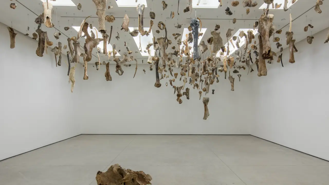Danh-Võ