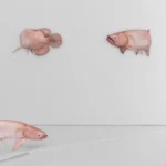Siew Guang Hong – the body improper