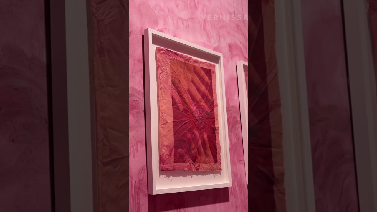 Diana Eusebio, Field of Dreams, exhibition installation