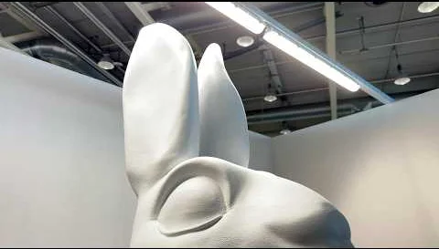 Karin Borer — The White Rabbit Illusion (2026)