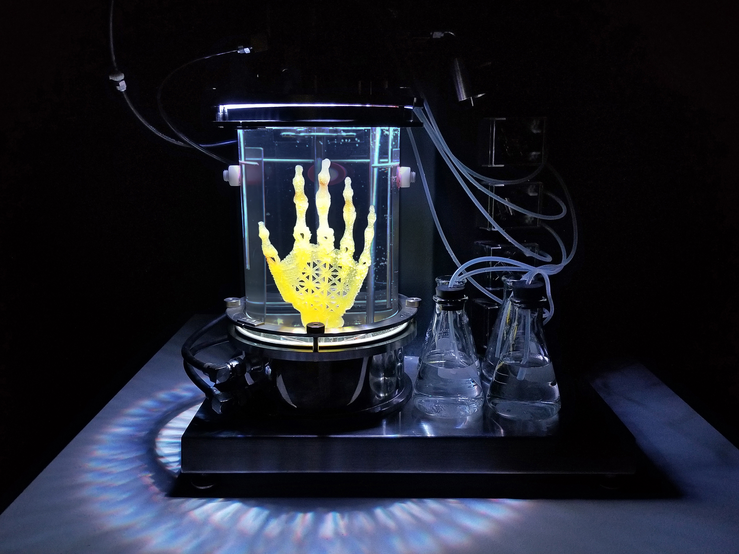 Amy Karle’s Regenerative Reliquary, a hand-shaped bioprinted scaffold inside a glass bioreactor.