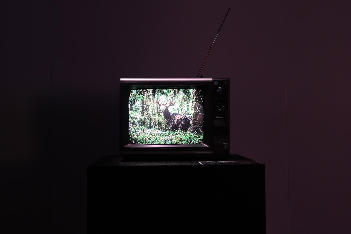 Téléviseur cathodique et antenne de l’installation Diffusion TV.