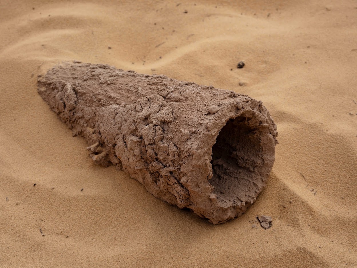 A rough, earth-covered horn with a hollow circular mouth emerges from the sand in Tarek Atoui’s The Water Song, Desert X AlUla, 2026.