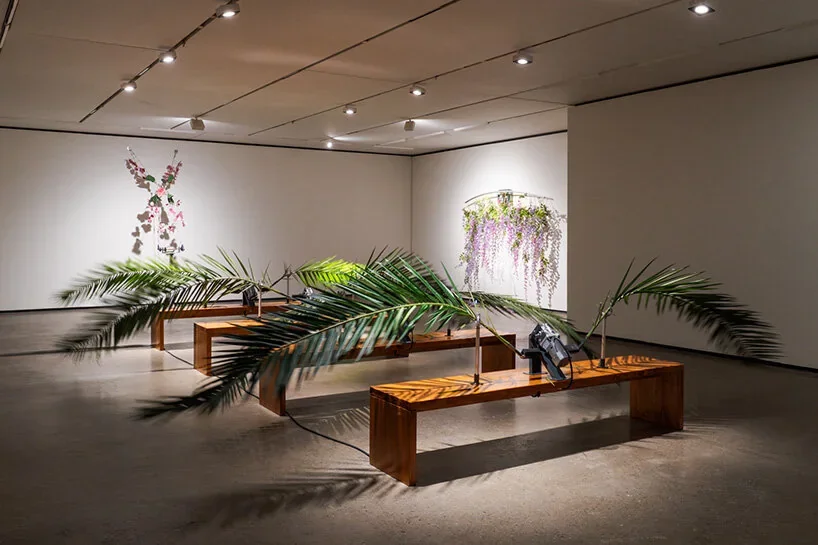 Rachel Youn — Unruly Vessel, motorised palm fronds arranged along wooden benches
