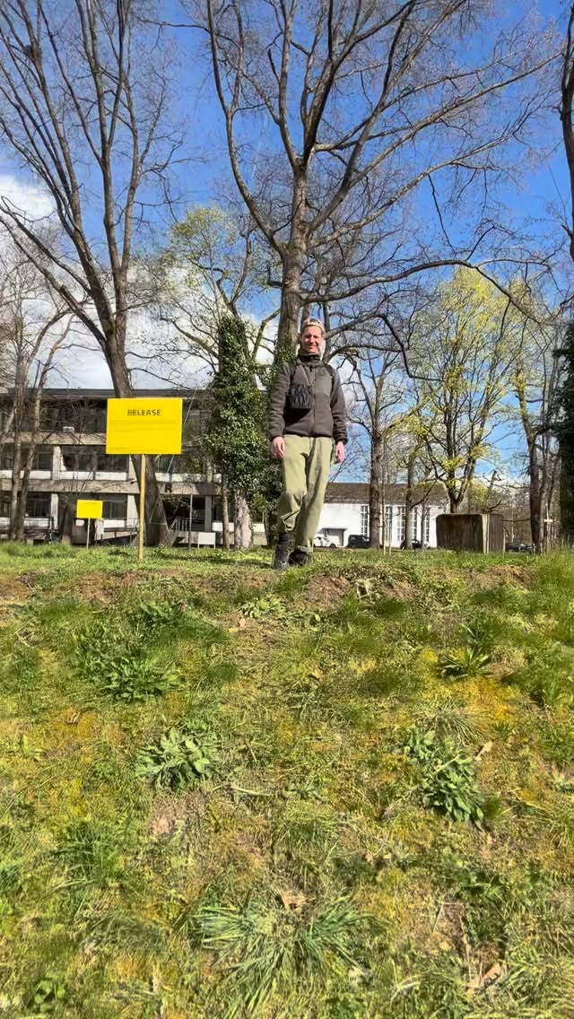Une personne debout sous les arbres dans un cadre vertical de la documentation de RELEASE.