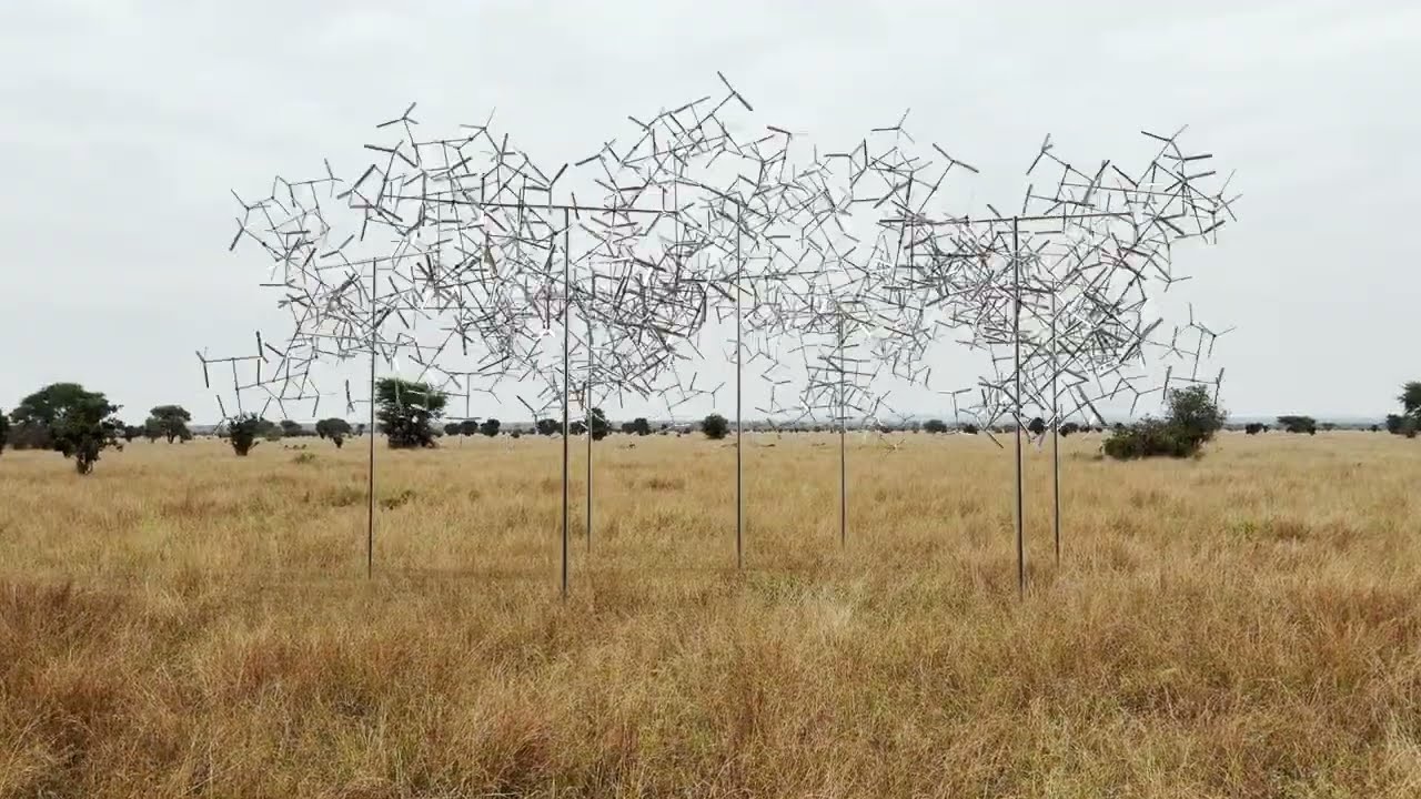 Vincent Leroy — Fractal Swarm, Tanzania (2025)