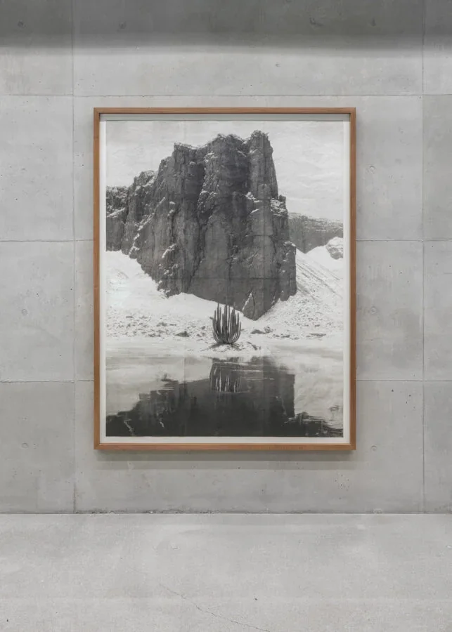 Tirage photographique de Deception Island exposé sur un mur / A Deception Island photographic print on a gallery wall.
