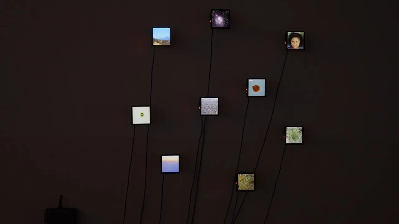 Neuf écrans miniatures reliés par des câbles dans l’installation de Geert Mul.